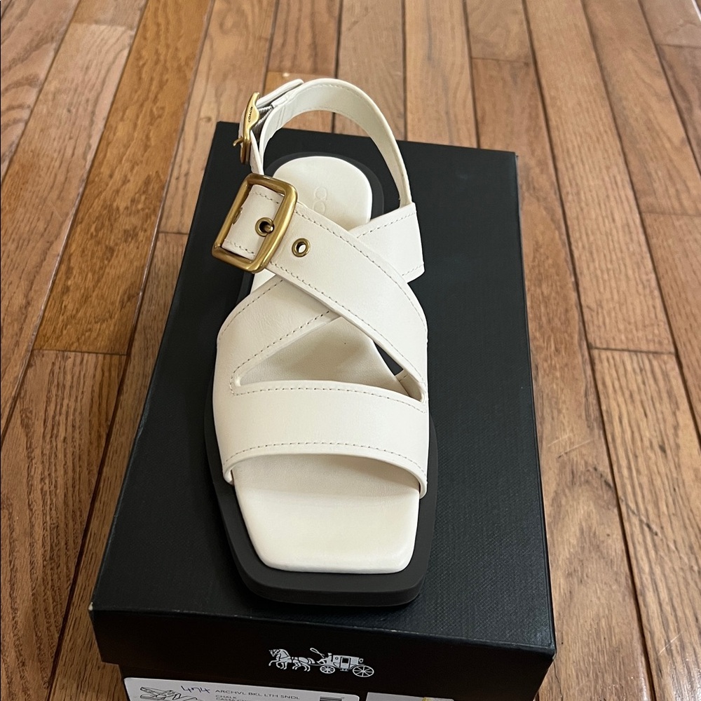 COACH Women's Archival Buckled Flat Sandals